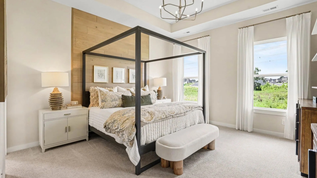 Image of 